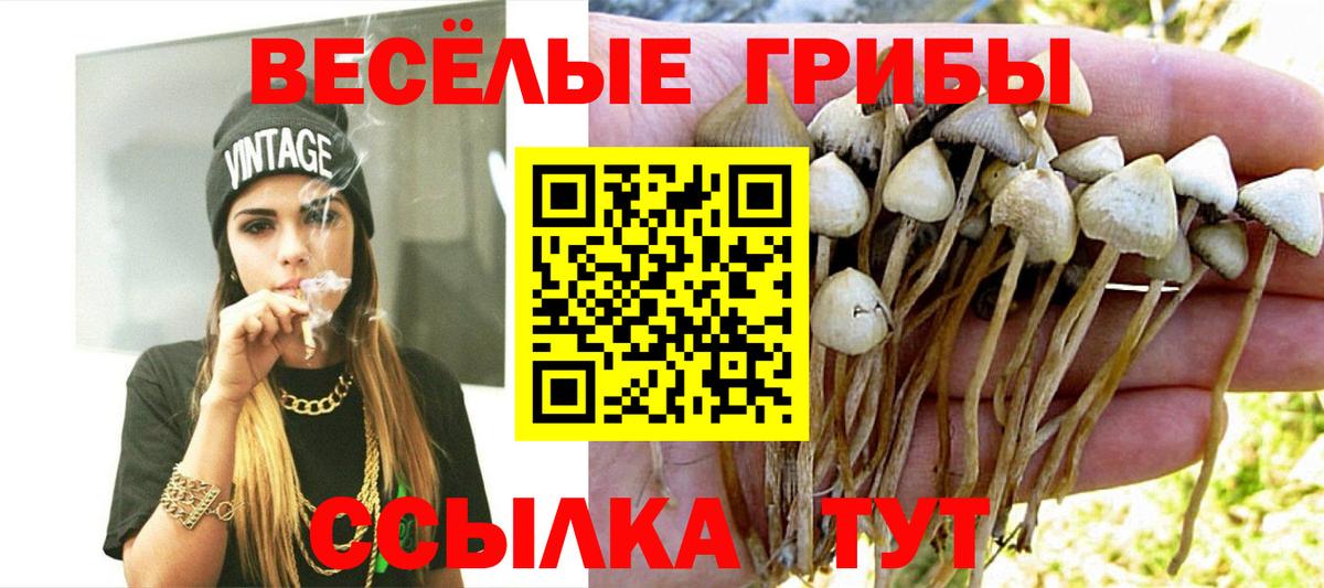 Соликамск  Псилоцибиновые грибы GOLDEN TEACHER  Вход с VPN  цены   Галлюциногенные грибы GOLDEN TEACHER 